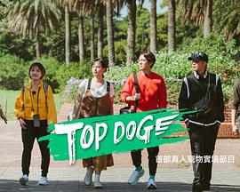 涩里番《TOP DOG》免费在线观看