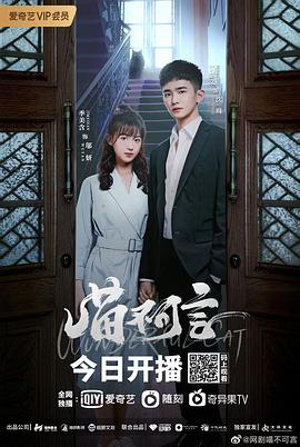 深夜福利《喵不可言》免费在线观看