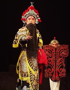 深夜福利《袁崇焕2009》免费在线观看